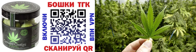 купить закладку  Приозерск  omg ССЫЛКА  Еда ТГК марихуана 