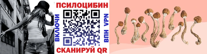 Псилоцибиновые грибы GOLDEN TEACHER mega ONION Приозерск